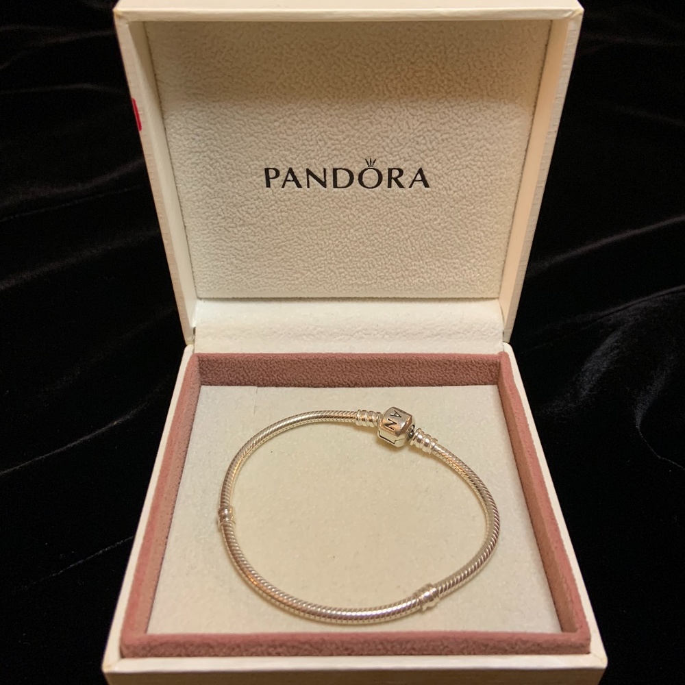 Pandora Snake Chain Bracelet